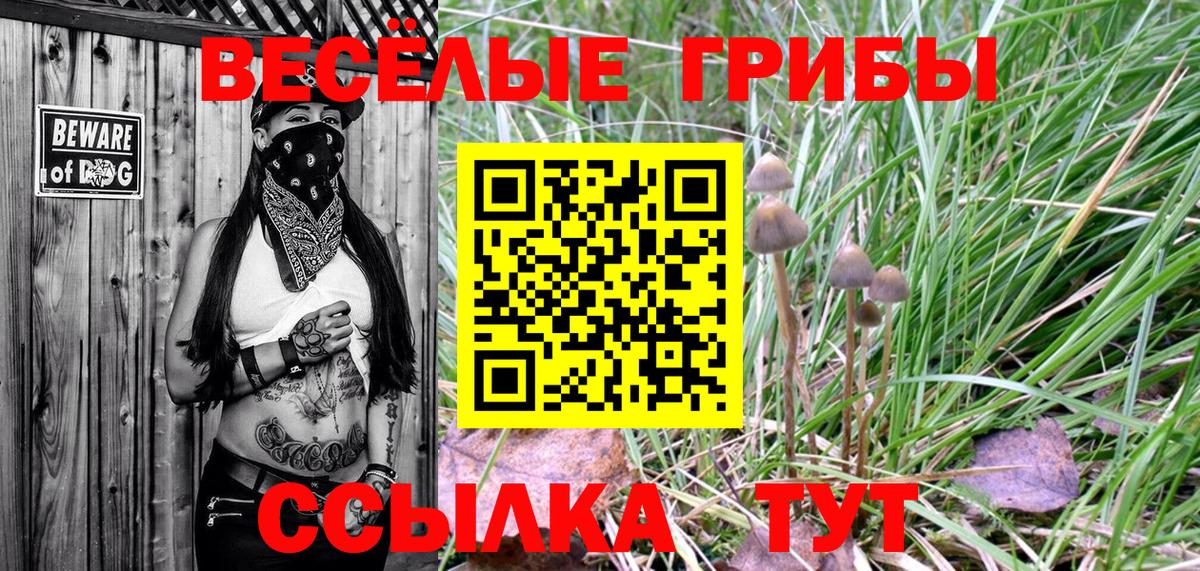 Псилоцибиновые грибы Magic Shrooms  Вход с VPN  Алатырь 
